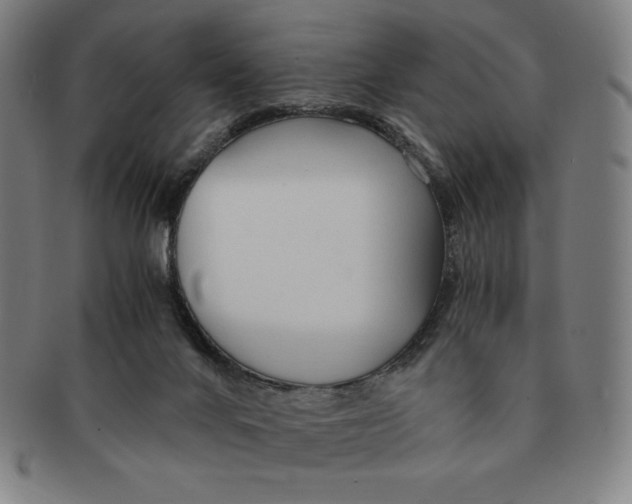 X0000090960024200708301213