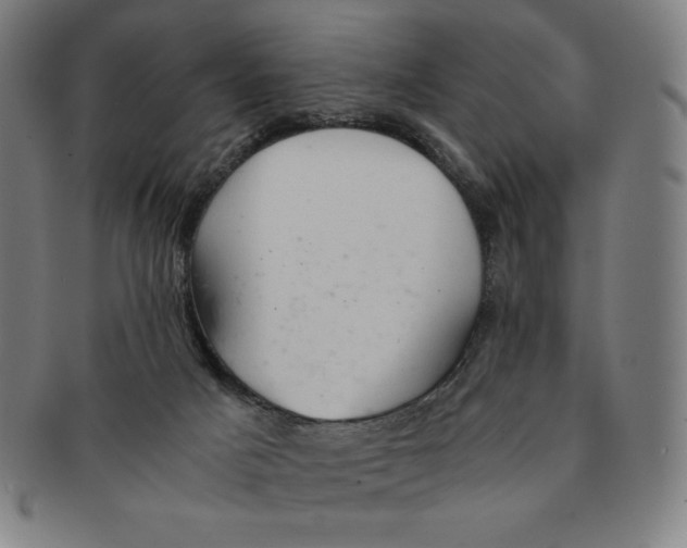 X0000090960025200708301213