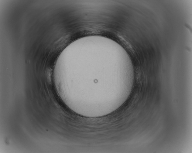 X0000090960026200708301213