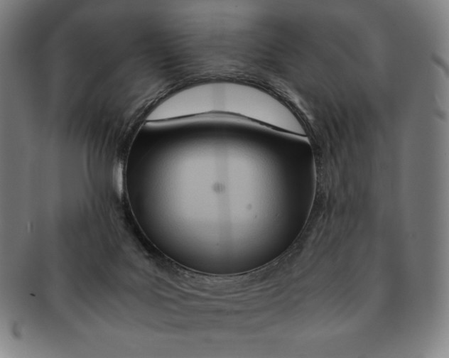 X0000090960027200708301213