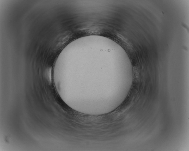 X0000090960028200708301213