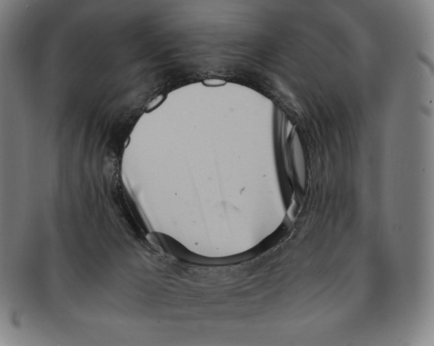 X0000090960029200708301213