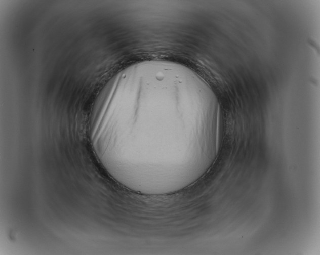 X0000090960030200708301213