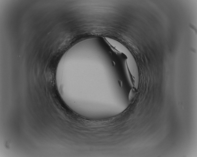 X0000090960031200708301213