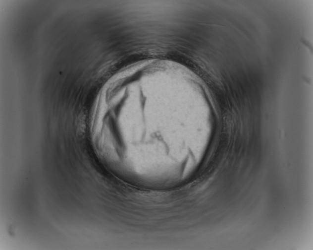 X0000090960032200708301213