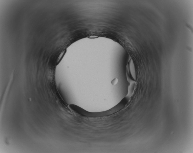 X0000090960033200708301213