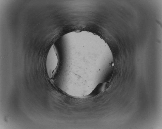 X0000090960037200708301213