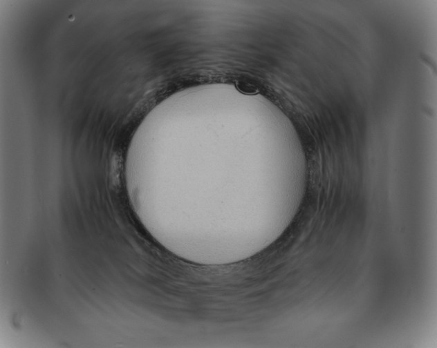 X0000090960038200708301213