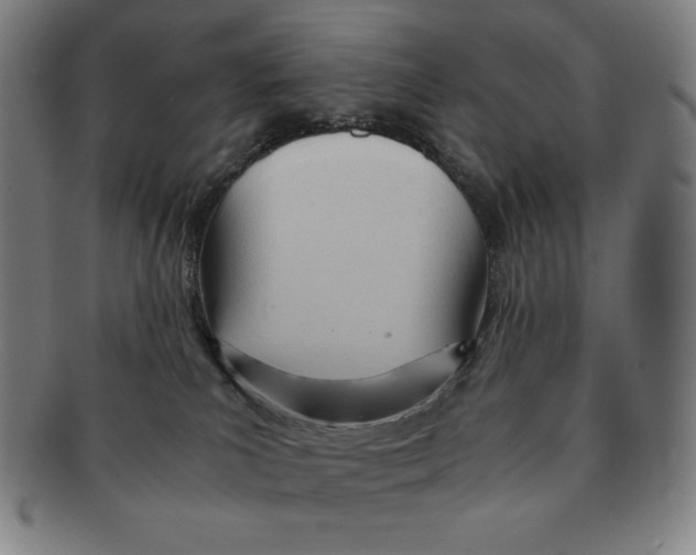 X0000090960039200708301213