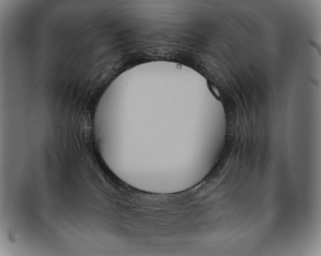 X0000090960040200708301213