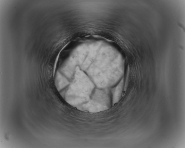 X0000090960043200708301213