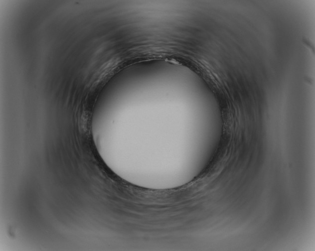 X0000090960044200708301213