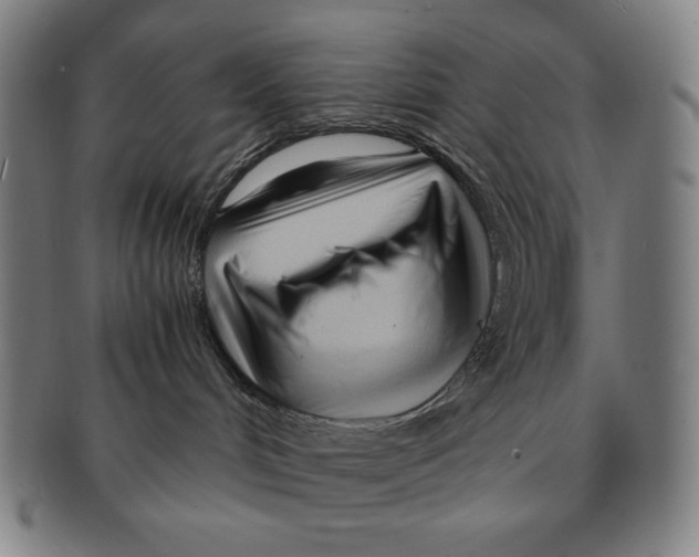 X0000090960048200708301213