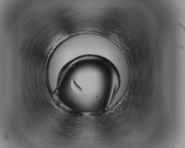 X0000090960050200708301213