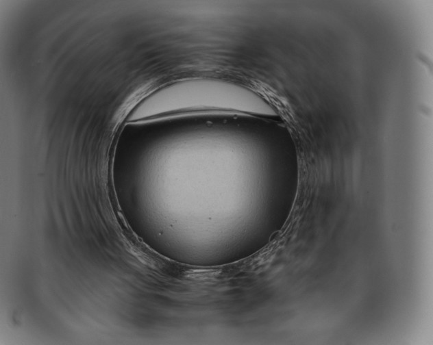 X0000090960051200708301213