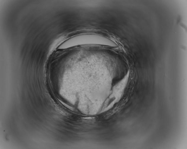 X0000090960053200708301213