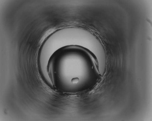 X0000090960054200708301213