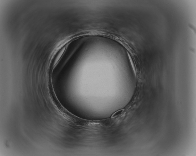 X0000090960055200708301213