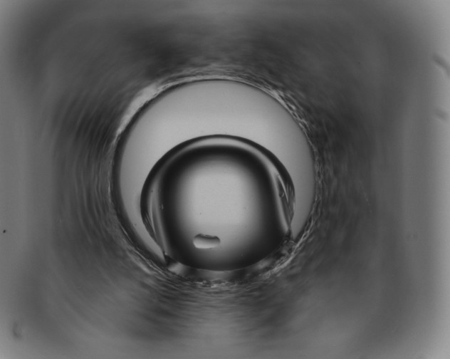 X0000090960056200708301213