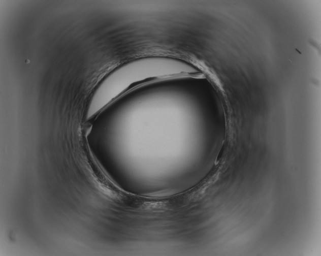 X0000090960057200708301213