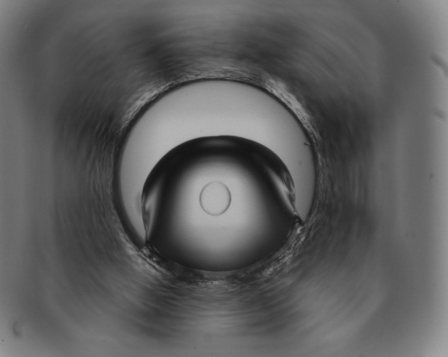 X0000090960058200708301213