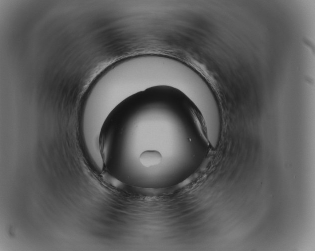 X0000090960060200708301213