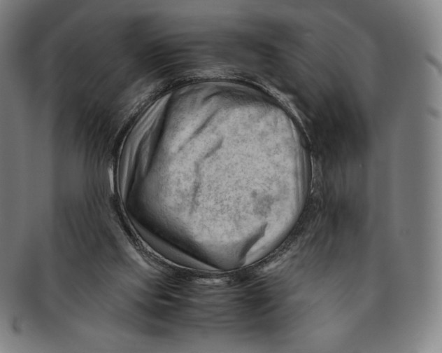 X0000090960061200708301213