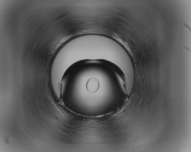 X0000090960062200708301213