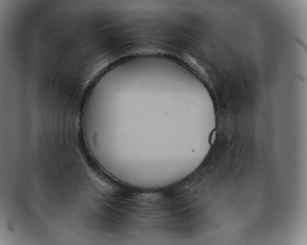 X0000090960063200708301213