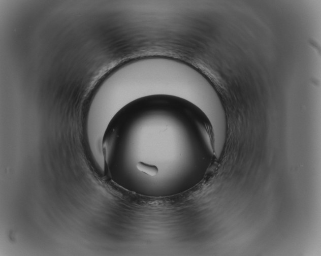 X0000090960064200708301213