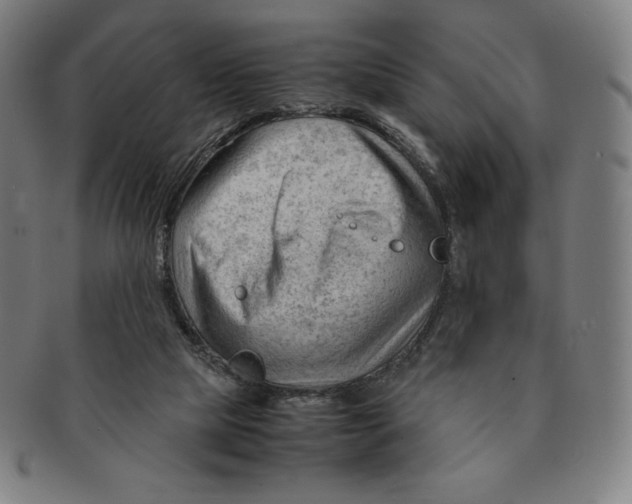 X0000090960065200708301213