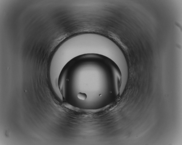 X0000090960068200708301213