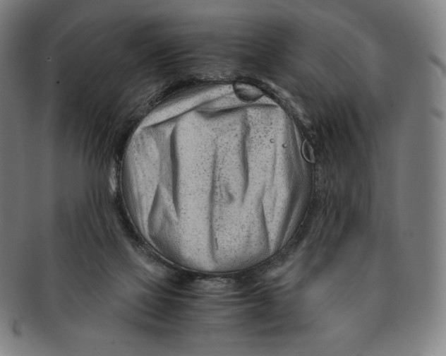 X0000090960069200708301213