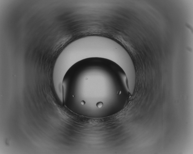 X0000090960070200708301213