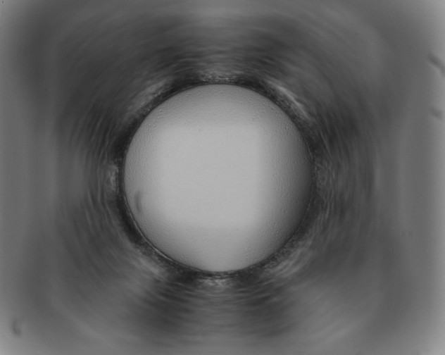 X0000090960071200708301213