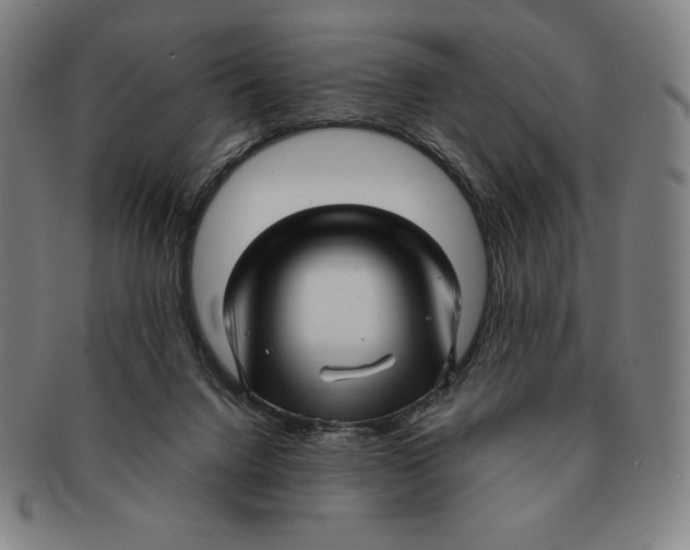 X0000090960072200708301213