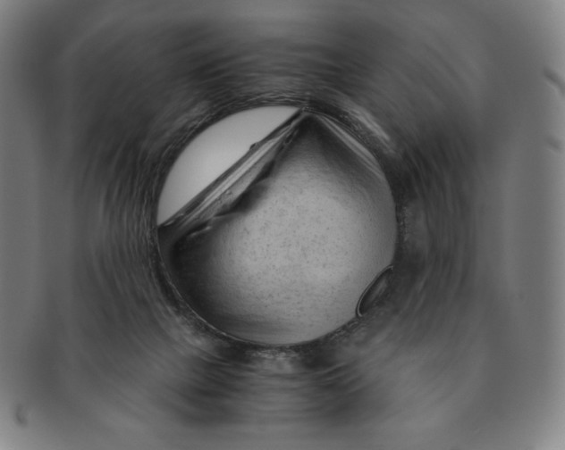 X0000090960073200708301213