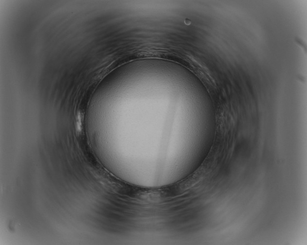 X0000090960075200708301213