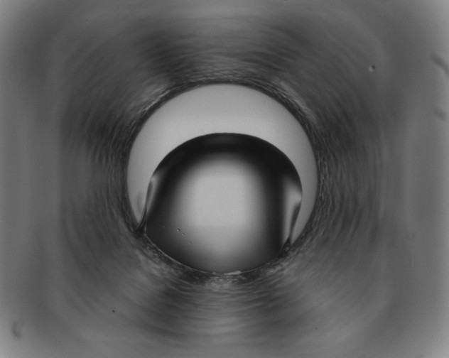 X0000090960076200708301213