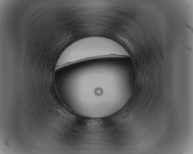 X0000090960077200708301213