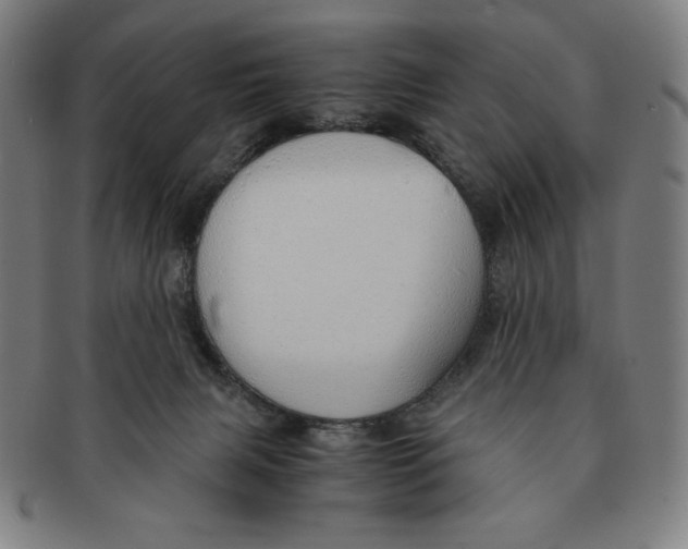 X0000090960079200708301213