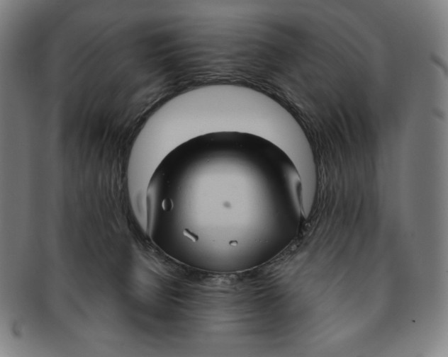 X0000090960080200708301213