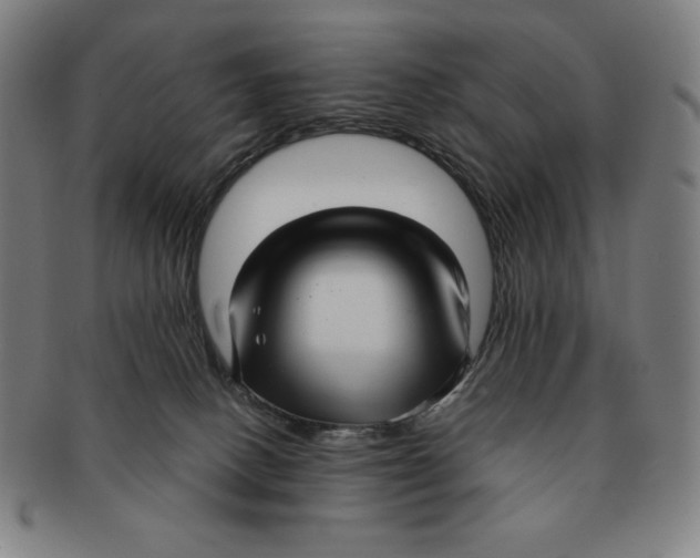 X0000090960082200708301213