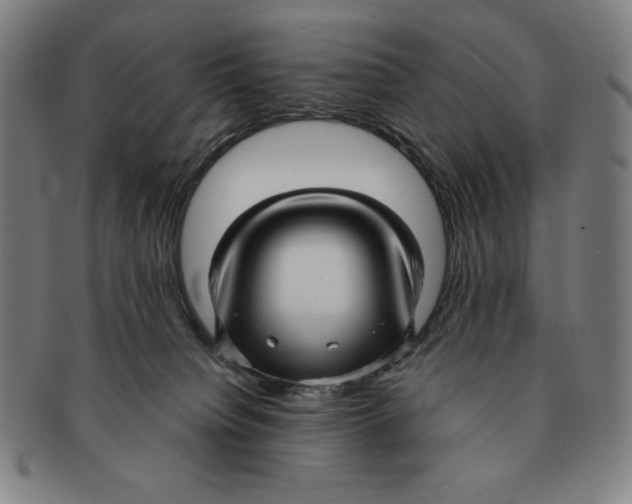 X0000090960084200708301213