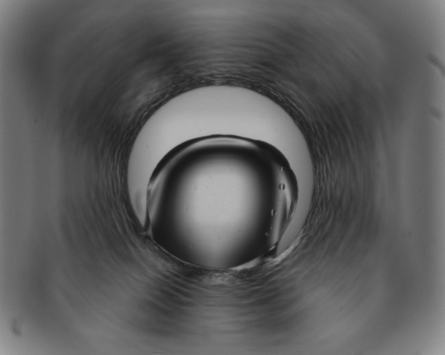 X0000090960086200708301213