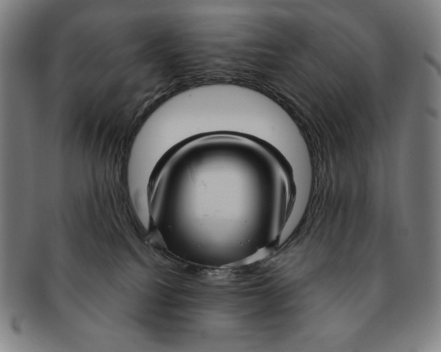 X0000090960088200708301213