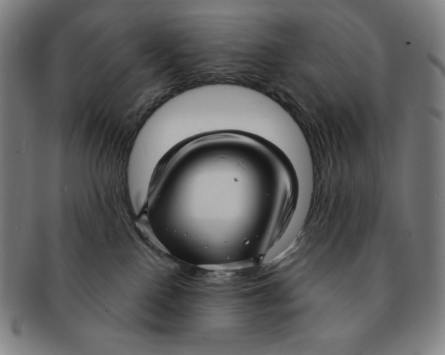 X0000090960090200708301213