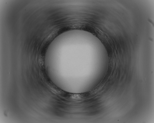 X0000090960091200708301213