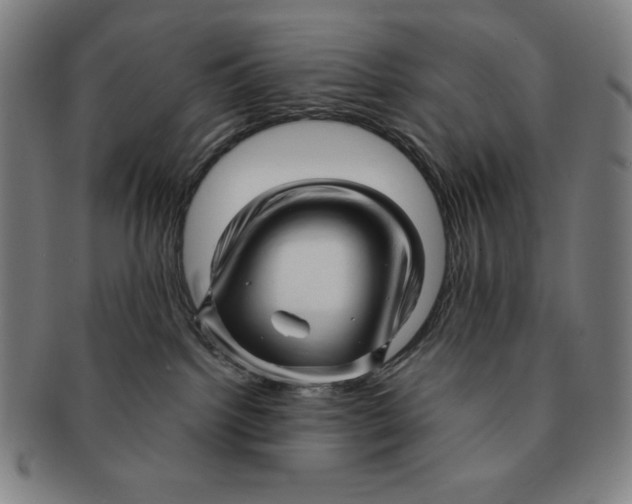 X0000090960092200708301213