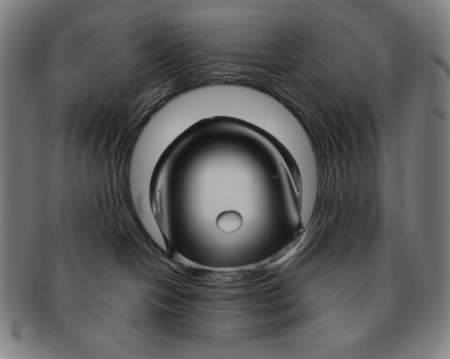 X0000090960094200708301213